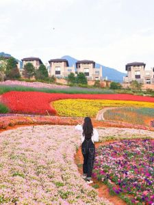 十里蓝山游玩攻略？十里蓝山在哪里？