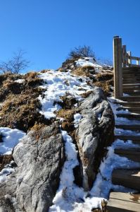 西岭雪山景点介绍？西岭雪山景点介绍图片？