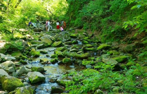 本溪旅游攻略三日游，本溪三日游推荐路线？