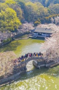 无锡免费景点排名，无锡景点排名前十无锡灵山大佛门票