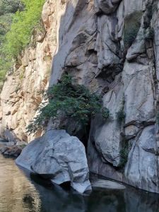 碓臼峪自然风景区？碓臼峪自然风景区老年人门票？