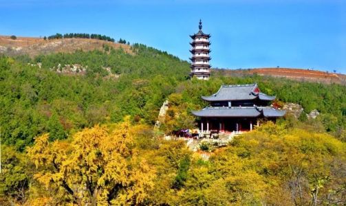枣庄旅游景点大全，山东枣庄旅游景点大全？