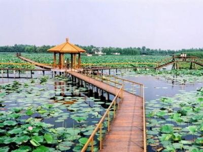 白洋淀旅游景点大全？白洋淀景区景点？