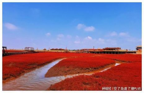 红海滩风景区攻略，红海滩风景区门票费用