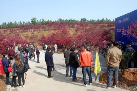 韶山旅游景点门票，韶山旅游景点门票要预约吗多少钱？