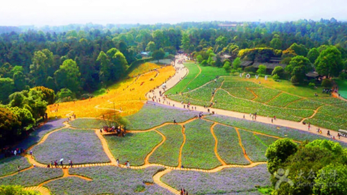 石象湖生态风景区，石象湖生态风景区图片？