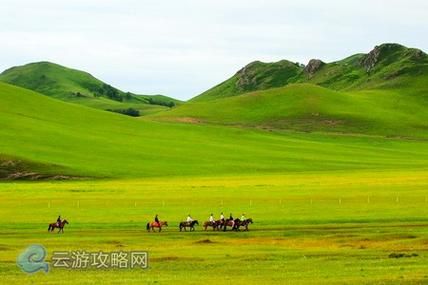 北京去坝上草原攻略，北京去坝上草原路线？