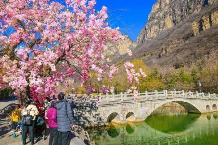 河南云台山旅游景区，河南云台山旅游景区简介红石峡