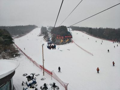 沈阳东北亚滑雪场，沈阳东北亚滑雪场视频？