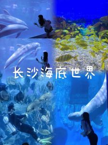 长沙海底世界攻略，长沙海底世界游玩攻略门票多少钱