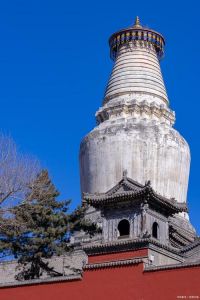 五台山旅游团报价，石家庄去五台山旅游团报价