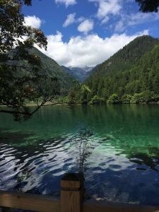 九寨沟主要景点介绍，九寨沟风景区的简介？