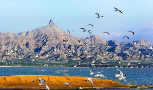乌海旅游前十景区，乌海沙漠网红打卡地？