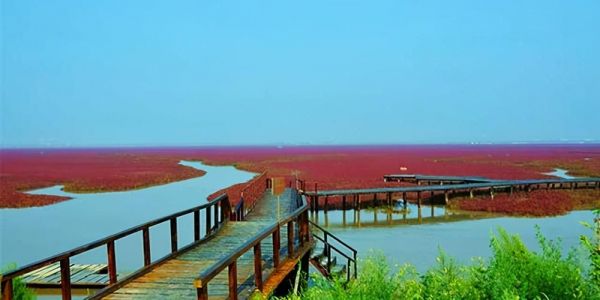 盘锦附近的海边景点？盘锦海边在哪？