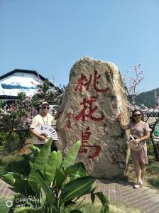 桃花岛旅游攻略自驾，桃花岛旅游攻略自驾舟山？