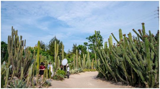 厦门万石植物园简介，厦门万石植物园简介概况