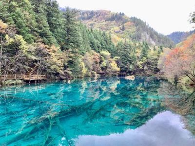 九寨沟景区询问电话？九寨沟景区询问电话是多少？