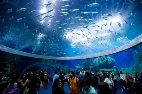 杭州海底世界怎么样，杭州海底世界好不好玩？