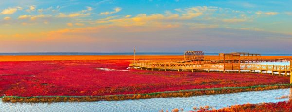 红海滩门票多少钱，红海滩门票多少钱一张2020