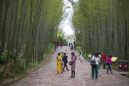 蜀南竹海旅游攻略，蜀南竹海旅游攻略自驾2天？