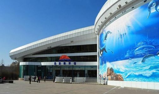 北京海洋馆攻略最新？北京海洋馆门票费用一览表？