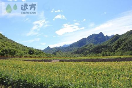 雾灵西峰风景区攻略，雾灵西峰是雾灵山吗?