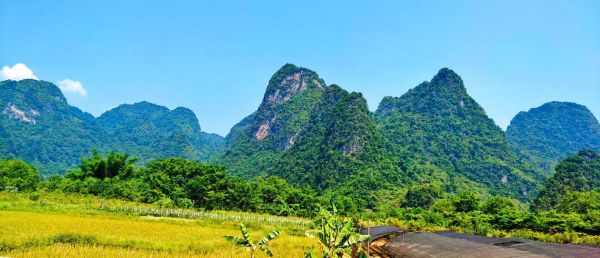 广西巴马旅游攻略，广西巴马旅游攻略自由行长寿村？