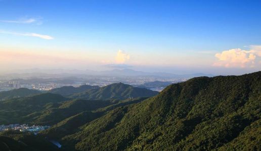 深圳梧桐山风景区？深圳梧桐山风景区天气预报？