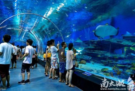 杭州哪个海洋馆好玩？杭州哪个海洋馆好玩又便宜？