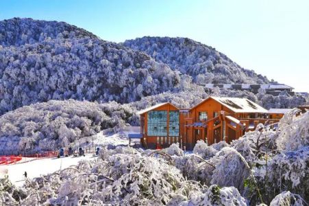 重庆金佛山旅游攻略，重庆金佛山景区门票多少？