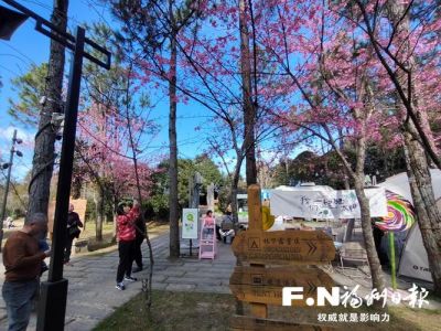 福州鼓岭一日游攻略？福州鼓岭一日游攻略鼓岭老街？