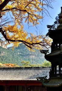 灵岩寺门票多少钱，吉林灵岩寺门票多少钱