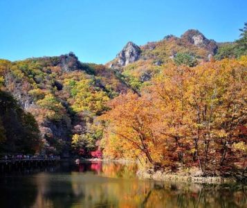 凤凰山门票多少钱，凤凰山门票多少钱?？