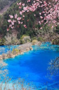 九寨沟旅游景点图片，九寨沟景区图片及景区介绍？