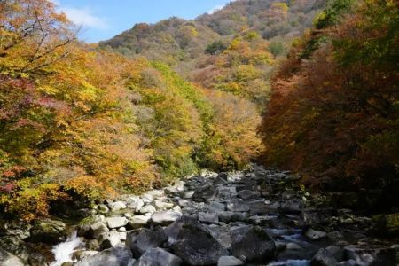 光雾山最佳旅游时间？光雾山最佳旅游时间成都周边哪里好耍？