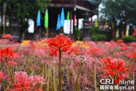 丰都鬼城旅游攻略？丰都鬼城旅游攻略图？