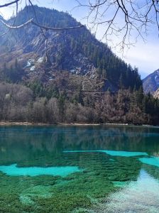 团九寨沟旅游费用，九寨沟团购门票费用？