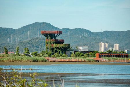 珠海海岛游玩攻略？珠海海岛一日游攻略？