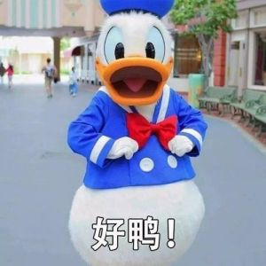 上海迪士尼门票费用，上海迪士尼门票费用表2023节假期