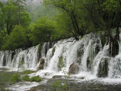 九寨沟旅游景区攻略？九寨沟旅游景点门票？