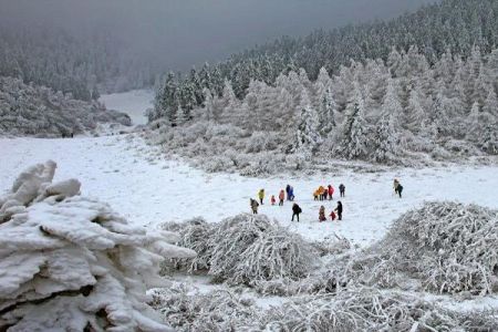 武隆仙女山天气预报？武隆仙女山天气预报30天？