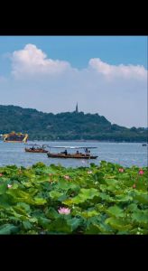 浙江旅游攻略自由行，浙江旅游攻略自由行最佳线路图片