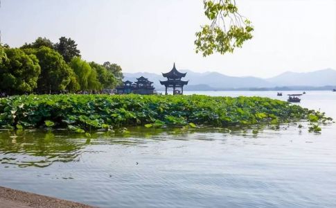 西溪湿地旅游攻略，西溪湿地旅游攻略芦花飞雪？