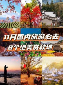 十一适合去哪里游玩，十一适合去哪里游玩九寨沟？