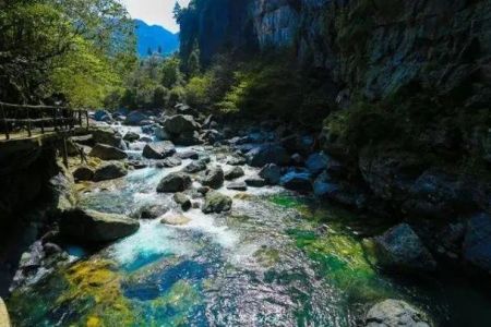 牯牛降风景区门票，牯牛降风景区门票费用学生票？