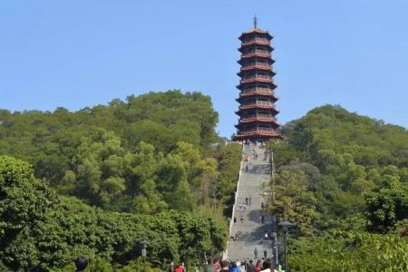 深圳前十免费景点？深圳前十免费景点排名榜图片大全？