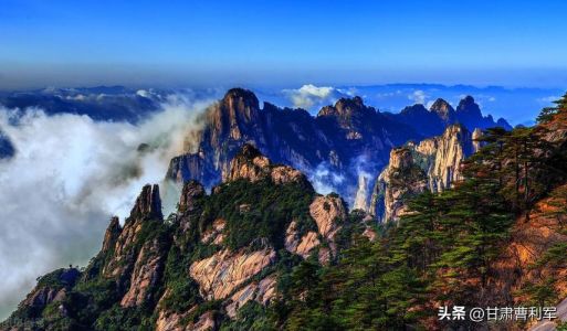 旅游网址都有哪些？旅游网有什么网站？